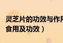 灵芝片的功效与作用及食用方法（灵芝片怎么食用及功效）