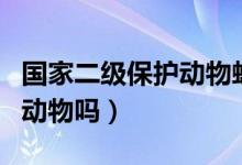 国家二级保护动物蛙类石蛙（石蛙是二级保护动物吗）