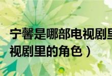 宁馨是哪部电视剧里的人物（宁馨的是什么电视剧里的角色）