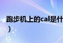 跑步机上的cal是什么（跑步机上的cal是什么）