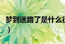 梦到迷路了是什么征兆（梦到迷路了暗示什么）