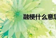 融梗什么意思（融梗的含义）