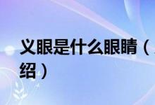 义眼是什么眼睛（义眼是什么 关于义眼的介绍）