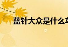 蓝针大众是什么车（看完你就明白了）