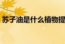 苏子油是什么植物提炼出来（苏子油是什么）