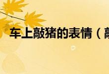 车上敲猪的表情（敲猪表情包是什么意思）