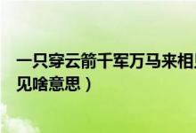 一只穿云箭千军万马来相见文案（一只穿云箭千军万马来相见啥意思）