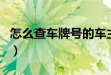 怎么查车牌号的车主（可以网上查车主信息吗）
