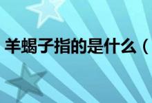 羊蝎子指的是什么（羊蝎子指的是什么东西）