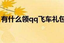 有什么领qq飞车礼包软件（有什么领主小说）