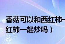 香菇可以和西红柿一起食用吗（香菇可以和西红柿一起炒吗）
