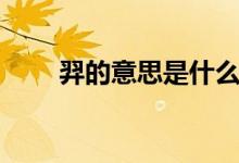 羿的意思是什么（羿的意思和含义）