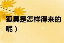 狐臭是怎样得来的（为什么会突然间就出现了呢）