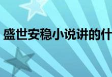 盛世安稳小说讲的什么（盛世安稳讲的什么）