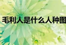 毛利人是什么人种图片（毛利人是什么人种）