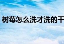 树莓怎么洗才洗的干净（树莓怎么洗的干净）