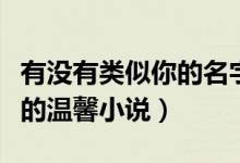 有没有类似你的名字的小说（类似谁是谁的谁的温馨小说）