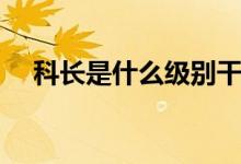 科长是什么级别干部（科长是什么职位）