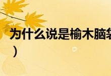 为什么说是榆木脑袋（榆木脑袋有多少个意思）