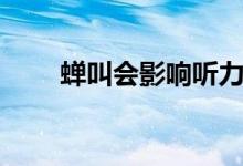 蝉叫会影响听力吗（蝉叫会下雨吗）