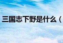 三国志下野是什么（三国志下野是什么意思）