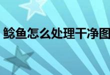 鲶鱼怎么处理干净图解（鲶鱼怎么处理干净）