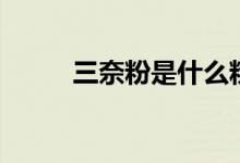 三奈粉是什么粉（三奈粉的介绍）