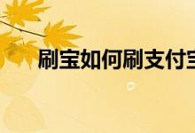 刷宝如何刷支付宝（刷宝如何发视频）