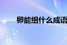 卵能组什么成语（卵能组什么词语）