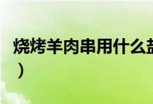 烧烤羊肉串用什么盐（烧烤羊肉串用什么部位）