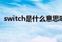 switch是什么意思呀（switch是什么属性）