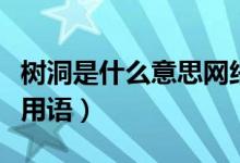 树洞是什么意思网络词（树洞是什么意思网络用语）
