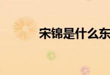 宋锦是什么东西（宋锦是什么）