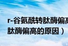 r-谷氨酰转肽酶偏高怎么降下来（r-谷氨酰转肽酶偏高的原因）