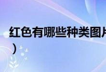 红色有哪些种类图片及名称（红色有哪些种类）