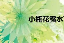 小瓶花露水可以带上飞机吗