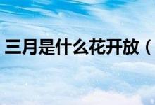 三月是什么花开放（三月是什么花开的季节）