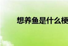 想养鱼是什么梗（养鱼吗是什么梗）