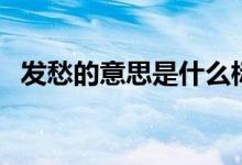 发愁的意思是什么标准答案（发愁的意思）