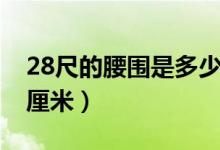 28尺的腰围是多少厘米（28尺的腰围是多少厘米）