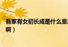 吾家有女初长成是什么意思啊（吾家有女初长成是什么意思啊）