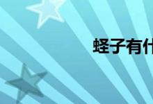 蛏子有什么营养价值