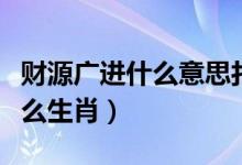 财源广进什么意思打一生肖（财源广进指是什么生肖）