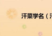 汗菜学名（汗菜学名叫什么）