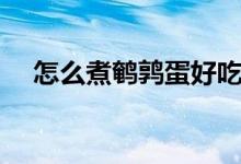 怎么煮鹌鹑蛋好吃（怎么煮鹌鹑蛋好吃）