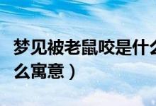 梦见被老鼠咬是什么意思（梦见被老鼠咬是什么寓意）