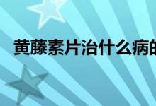 黄藤素片治什么病的（生病用得到这种药）