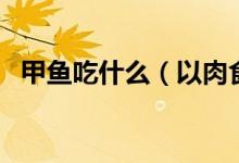 甲鱼吃什么（以肉食性为主的杂食性动物）