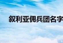 叙利亚佣兵团名字（叙利亚佣兵什么梗）