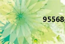 95568是什么银行